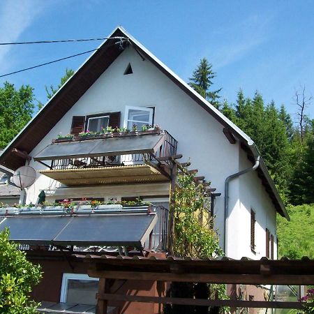 Riedl Gaestewohnung Klagenfurt am Woerthersee Exterior photo