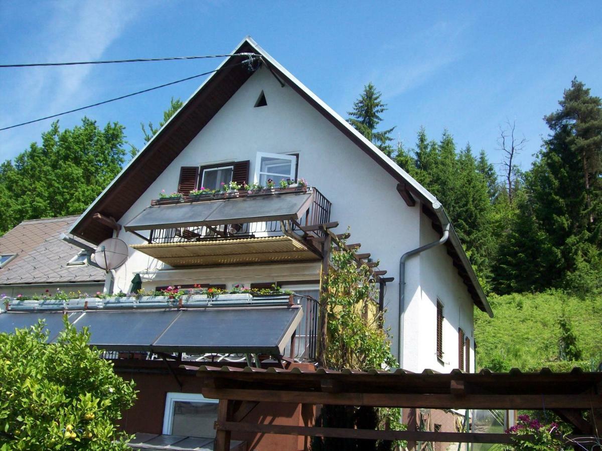 Riedl Gaestewohnung Klagenfurt am Woerthersee Exterior photo